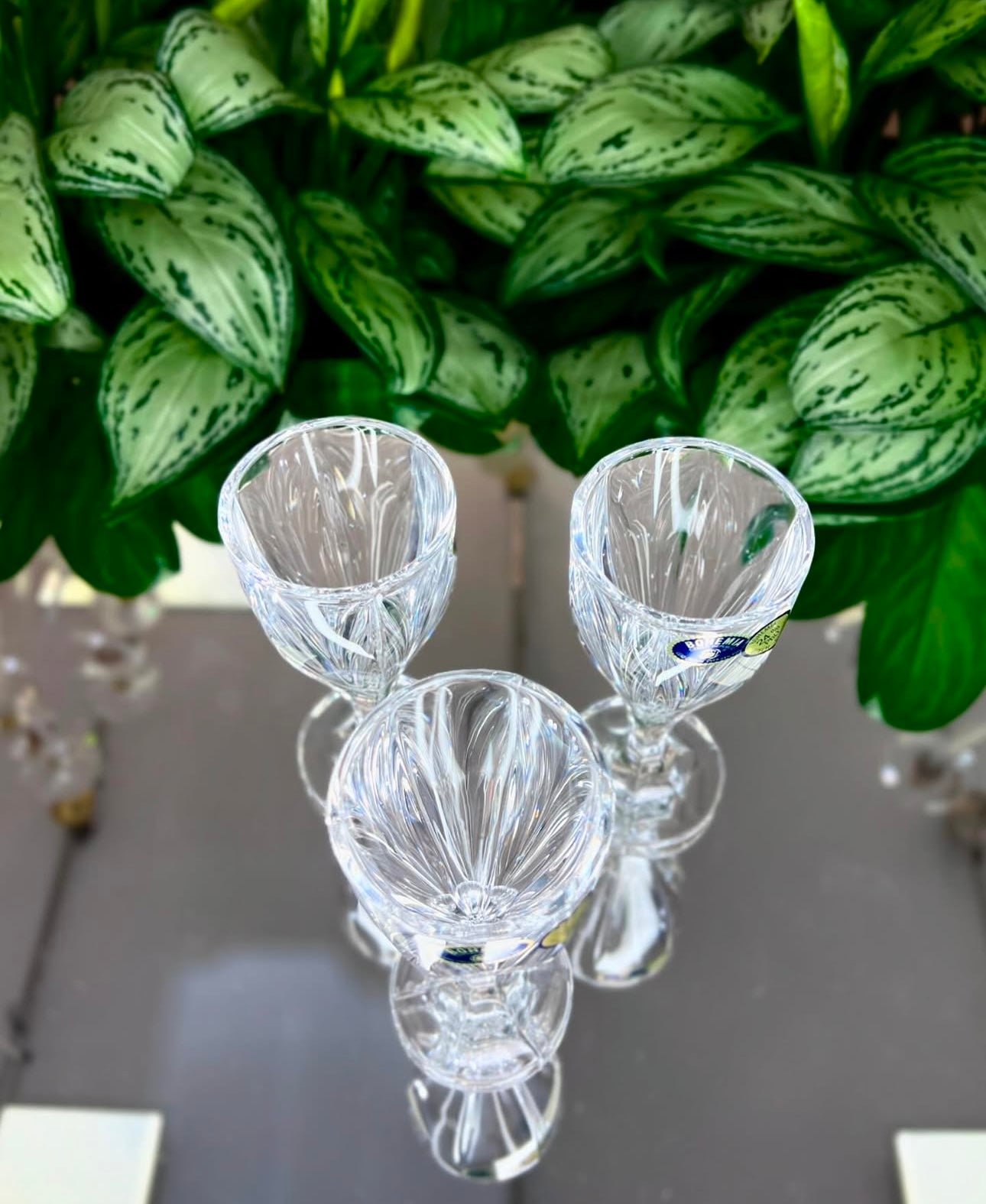 Gote kristali likeri 60ml “Victoria” Bohemia Crystals